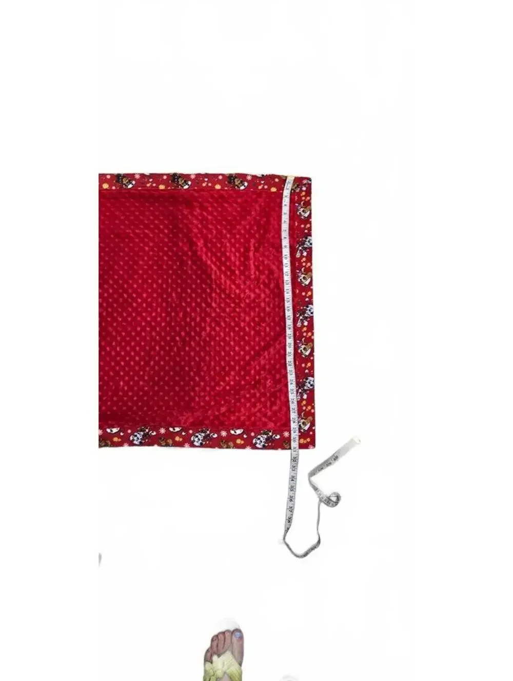 Red Paw Patrol Themed Baby Blanket with Soft Minky Backing